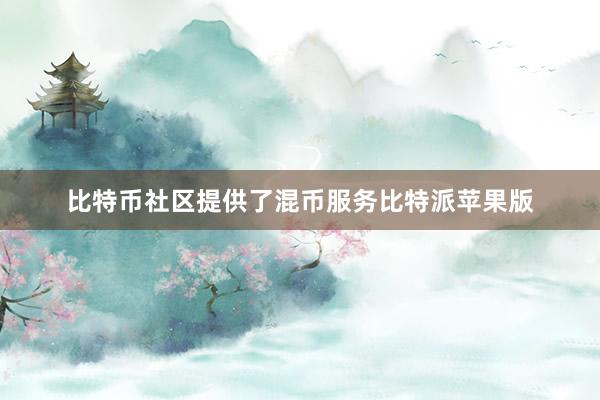 比特币社区提供了混币服务比特派苹果版