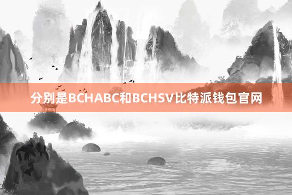 分别是BCHABC和BCHSV比特派钱包官网