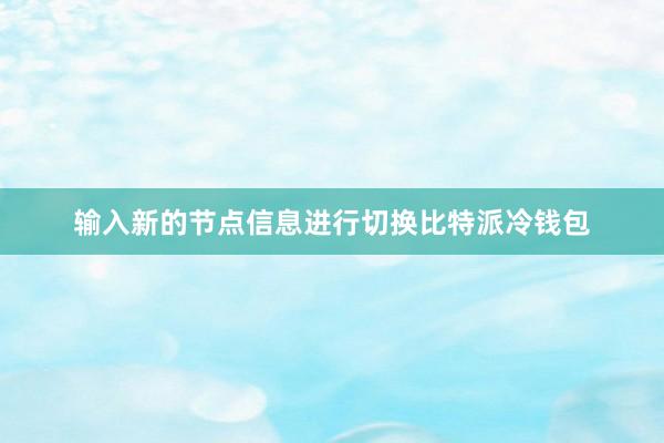 输入新的节点信息进行切换比特派冷钱包