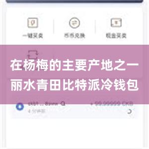 在杨梅的主要产地之一丽水青田比特派冷钱包