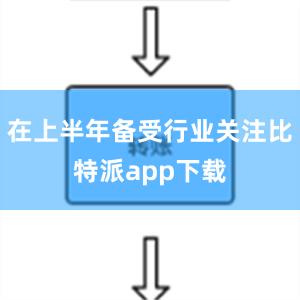 在上半年备受行业关注比特派app下载